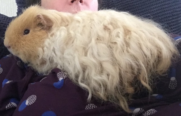 Look at the arse on this!