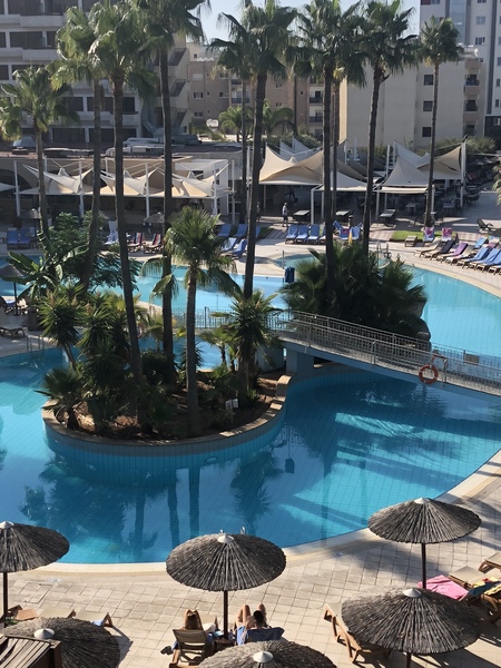 To ask for a holiday checklist for dummies