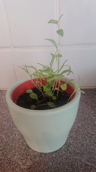 Any ideas what this is?
