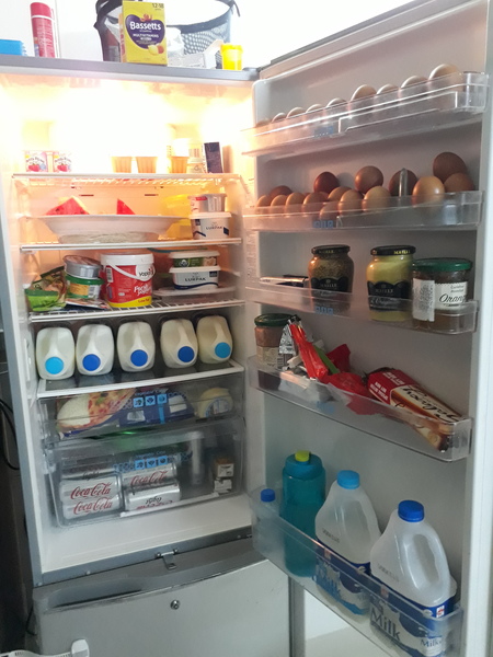Look at my healthy fridge (photo included)