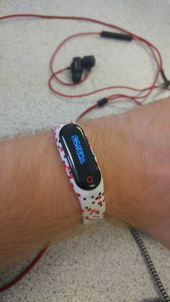 Pokemon Go #18: You ain't nothin' but a Houndoom.