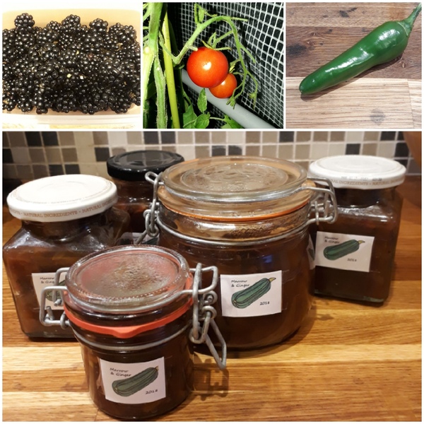 Allotment/Veg Patch Thread 12! Plotmenters hoping for better weather