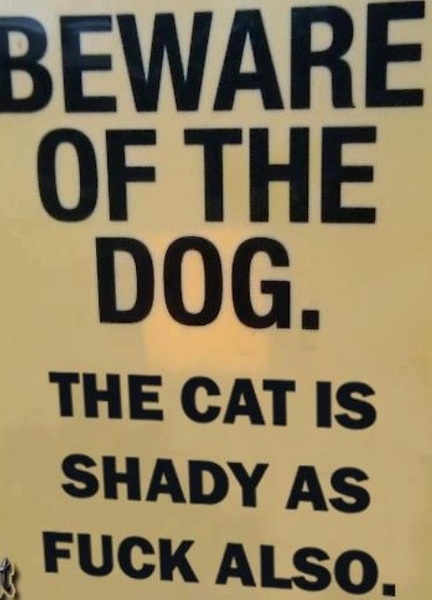 To think the sign in NDNs window is naff and unnecessary?