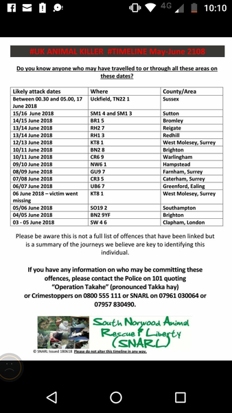 Cat Killer might be a Journalist