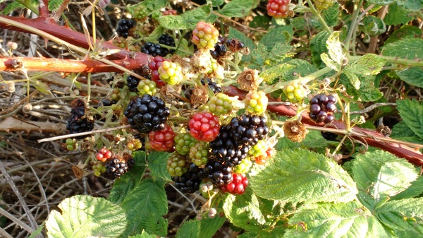 Have you seen the weather forecast for next week?!