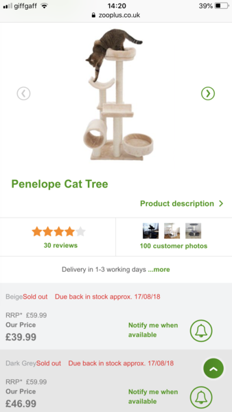 Cat tree recommendation