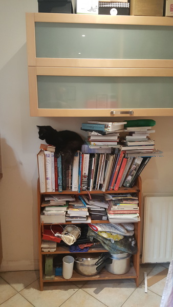 What's your DCat up to today? (Thread 7!)