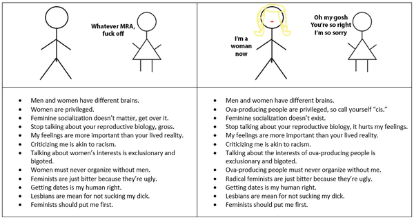 Share your favourite Gender Critical memes here!