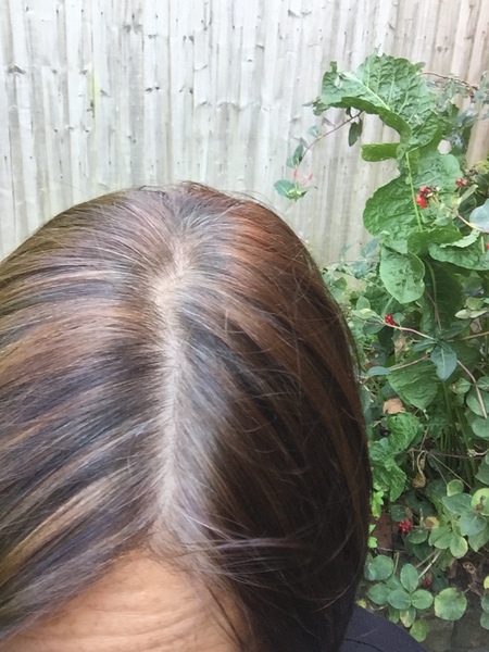 Growing out grey hair from a fashion colour