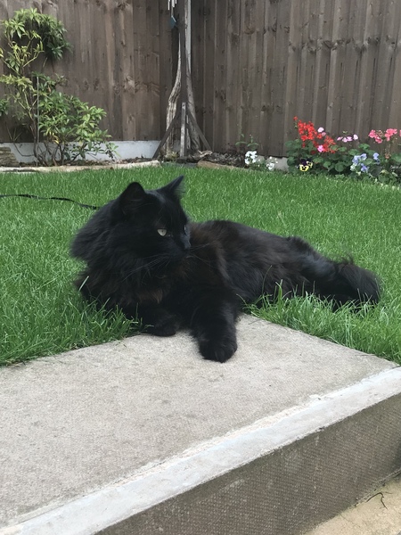 What's your DCat up to today? (Thread 7!)