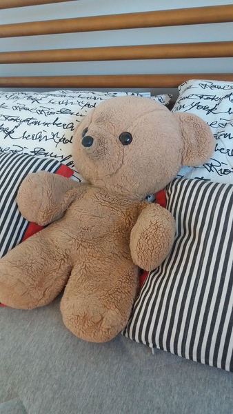 Do you still keep a special toy from your childhood?