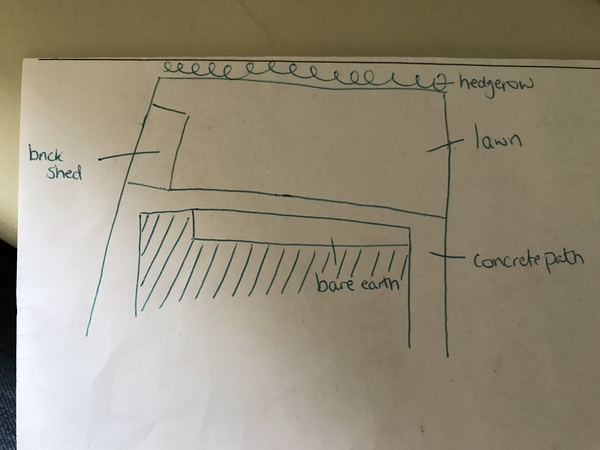 Best tips for a wide and shallow north facing garden?