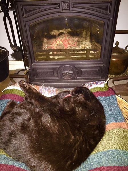 I'm cold...I'm actually cold!