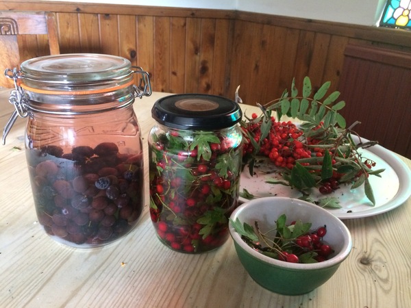 Any Witches Here ? Part 2