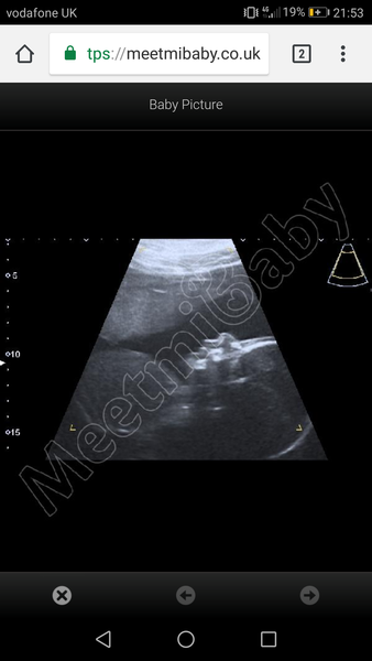 First Pregnancies with Nov/Dec Due dates :)