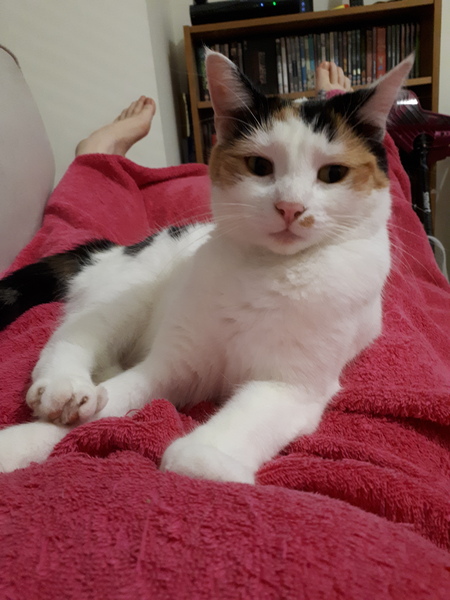 December 2018 Babies - Thread #4