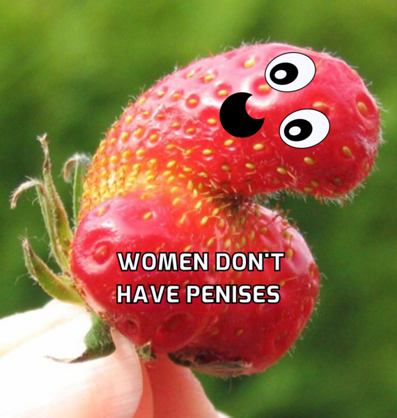 Anti-trans vandals are plastering vile ‘women don’t have penises’ stickers around London