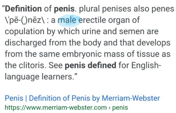 Is it a crime to say women don't have penises: James Kirkup article
