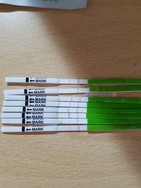 TTC after pregnancy loss - thread 25 BFPs for all!