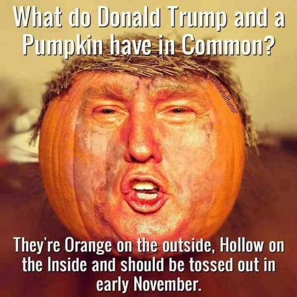 Trump has a Pecker problem and there is a blue pill to make it grow bigger - midterms! Trump threads contd.