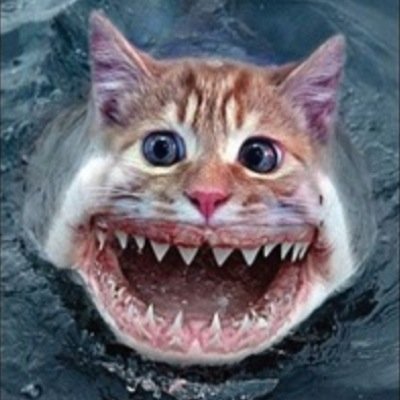 Does this picture scare you?