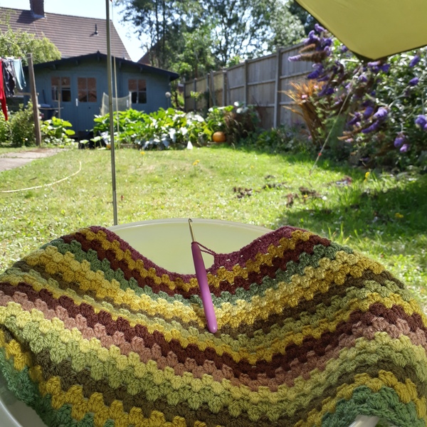 Allotment/Veg Patch Thread 12! Plotmenters hoping for better weather