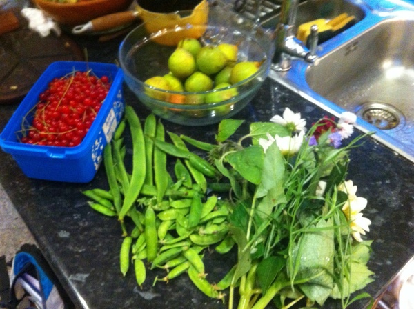 Allotment?Veg Patch Thread 13! Are we weathering the weather?