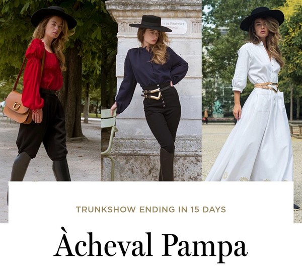 Les Parisiennes de Mamansnet: Orangutans in Paris make for poor gondoliers