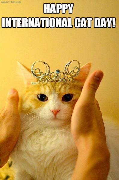 Happy International Cat Day!