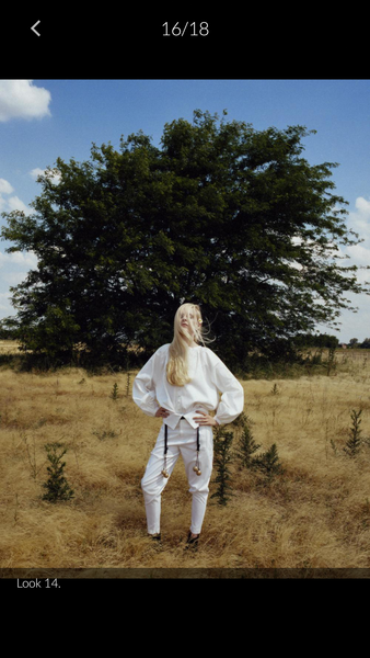 Les Parisiennes de Mamansnet: Orangutans in Paris make for poor gondoliers