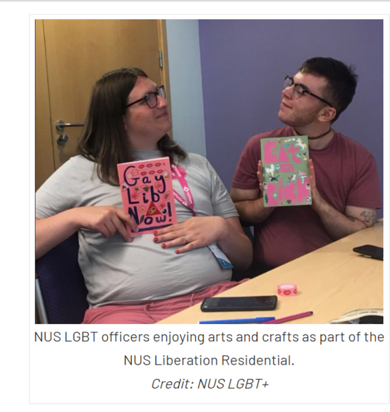 Jess Bradley - a government advisor on women's rights suspended by NUS over indecent blog. Part iii