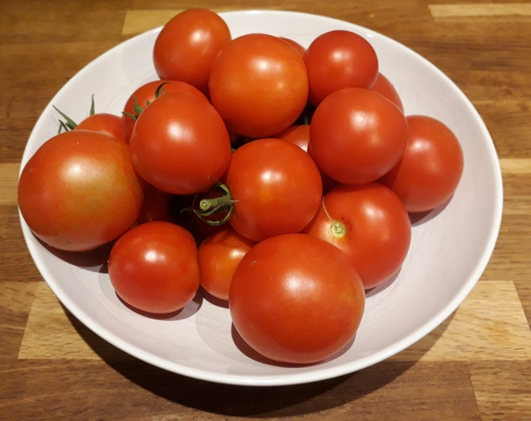 Allotment?Veg Patch Thread 13! Are we weathering the weather?