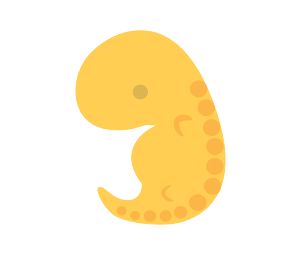 May 2019 (or late April 2019) due date