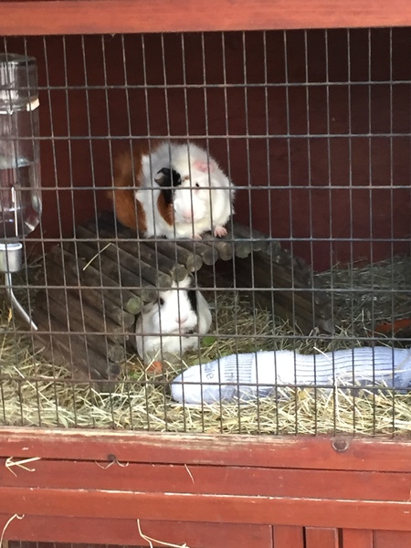 Bruce is in a relationship!