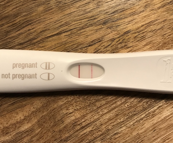 Pregnancy after loss: spring 2019 edition (The Brexit Babes) 🐧