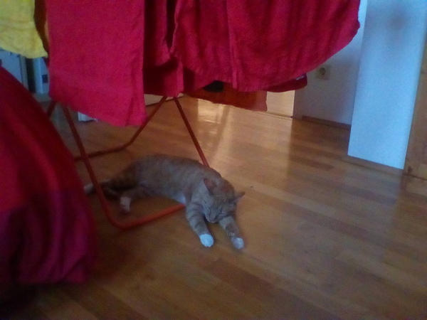 What's your DCat up to today? (Thread 7!)
