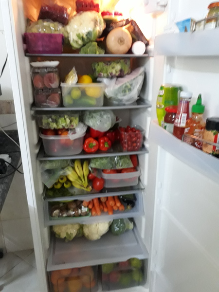 Look at my healthy fridge (photo included)