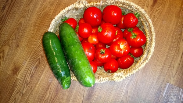 Allotment/Veg Patch Thread 12! Plotmenters hoping for better weather