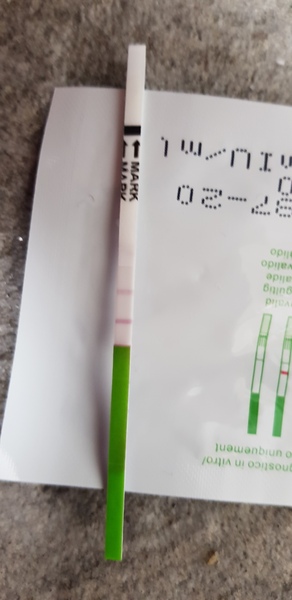 Can u use opk as preg test?