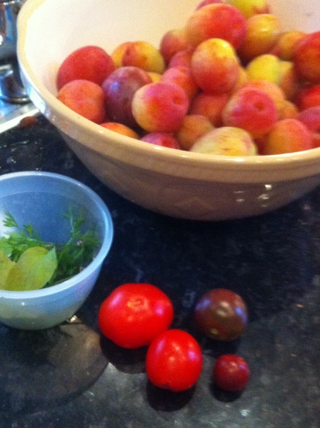 Allotment?Veg Patch Thread 13! Are we weathering the weather?