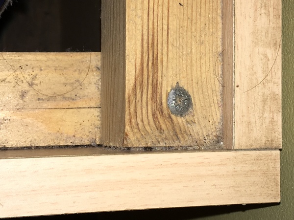 To think we can leave bed bugs here
