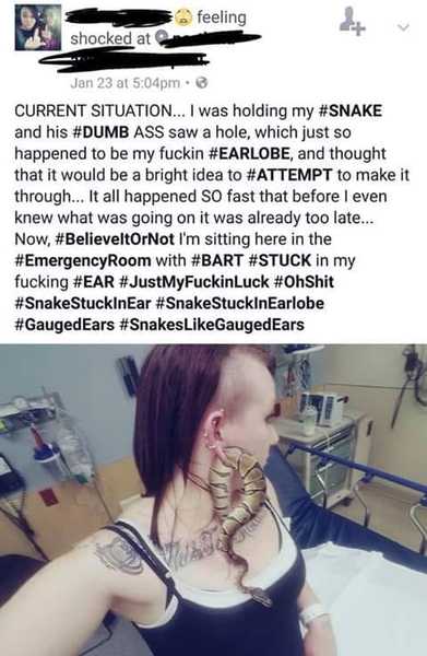 Is anyone else slightly traumatised by the recent spate of escaped snake stories?