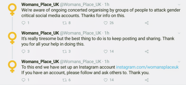 A Woman's Place now on Instagram