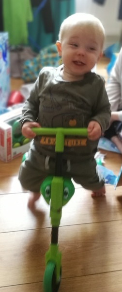 To clap my hands and skip about in a elephantine manner?