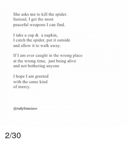 what do you do about spiders?