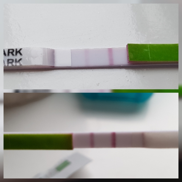 POAS too early? / OPKs worth trying?