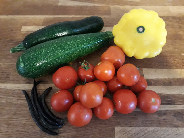 Allotment?Veg Patch Thread 13! Are we weathering the weather?