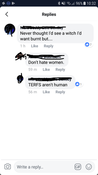 Can you be a feminist and pro trans?
