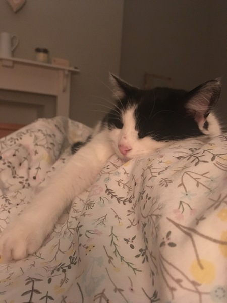 Any Witches Here ? Part 2