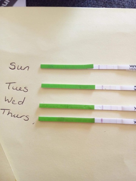 TTC after pregnancy loss - thread 24 🐧🐧